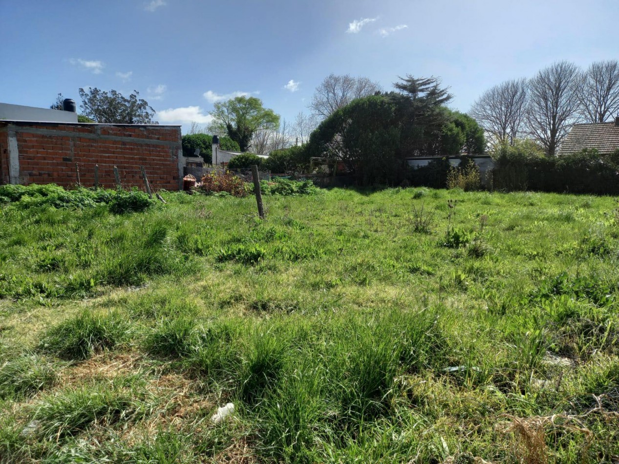Lote Barrio Jardin