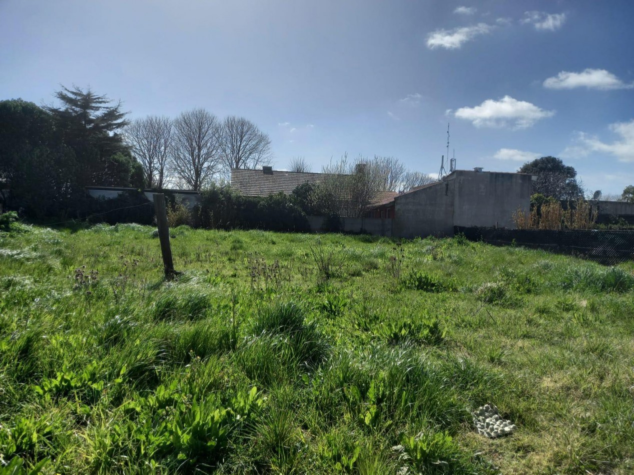 Lote Barrio Jardin