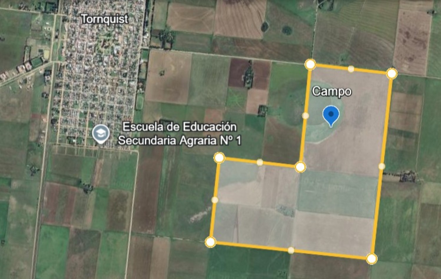 VENTA DE CAMPO MIXTO - TORNQUIST