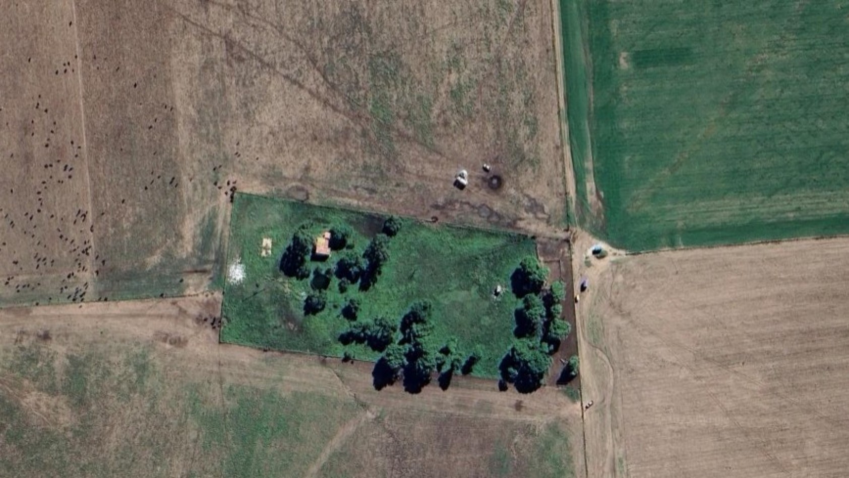 VENTA DE CAMPO MIXTO - TORNQUIST