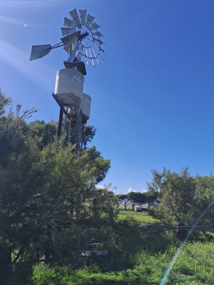 VENTA DE CAMPO MIXTO - TORNQUIST