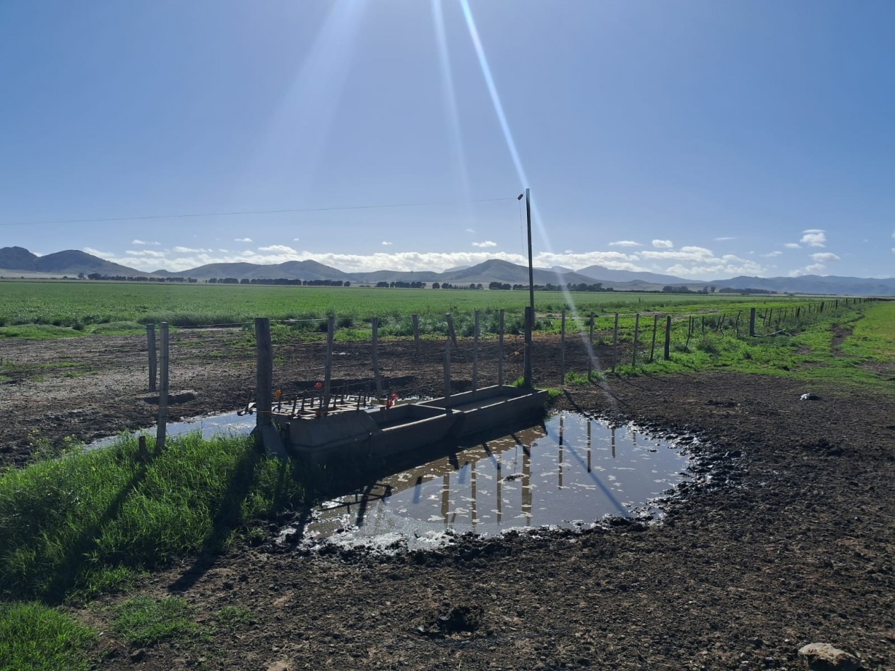 VENTA DE CAMPO MIXTO - TORNQUIST