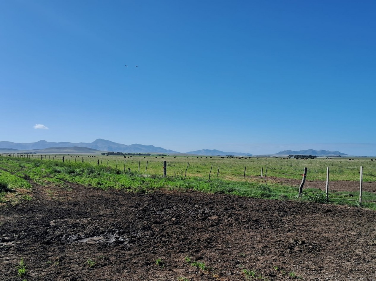 VENTA DE CAMPO MIXTO - TORNQUIST