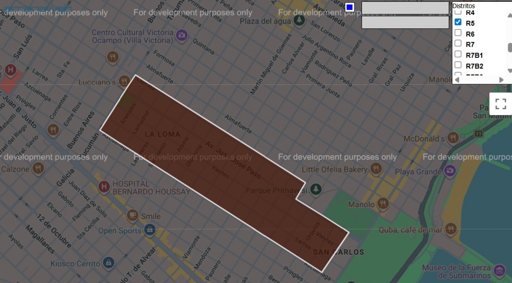 LOTE SOBRE AVENIDA PASO