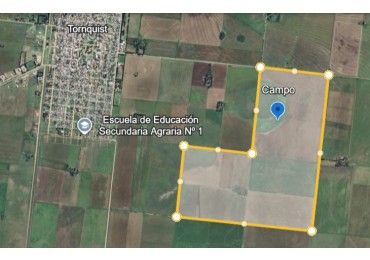 VENTA DE CAMPO MIXTO - TORNQUIST