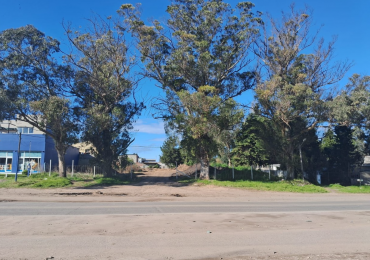 LOTES SOBRE AV. NEWBERY Y AV. MARIO BRAVO - IDEAL INVERSORES